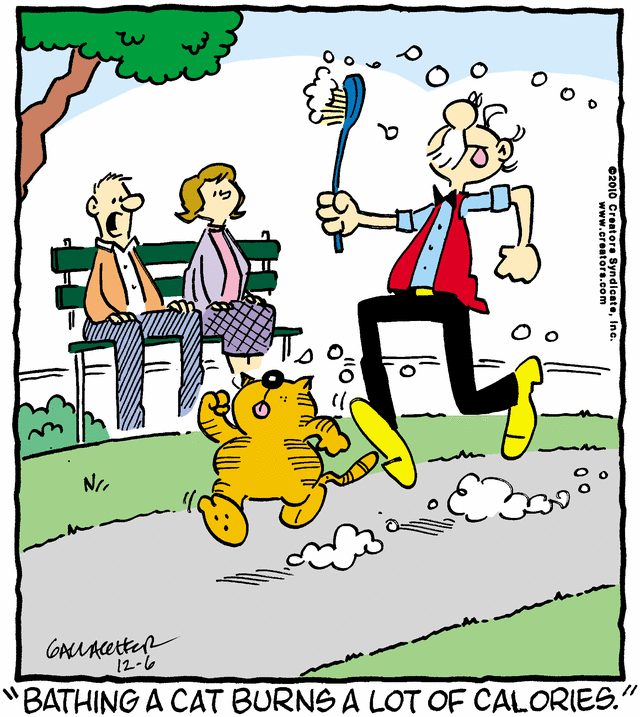 heathcliff